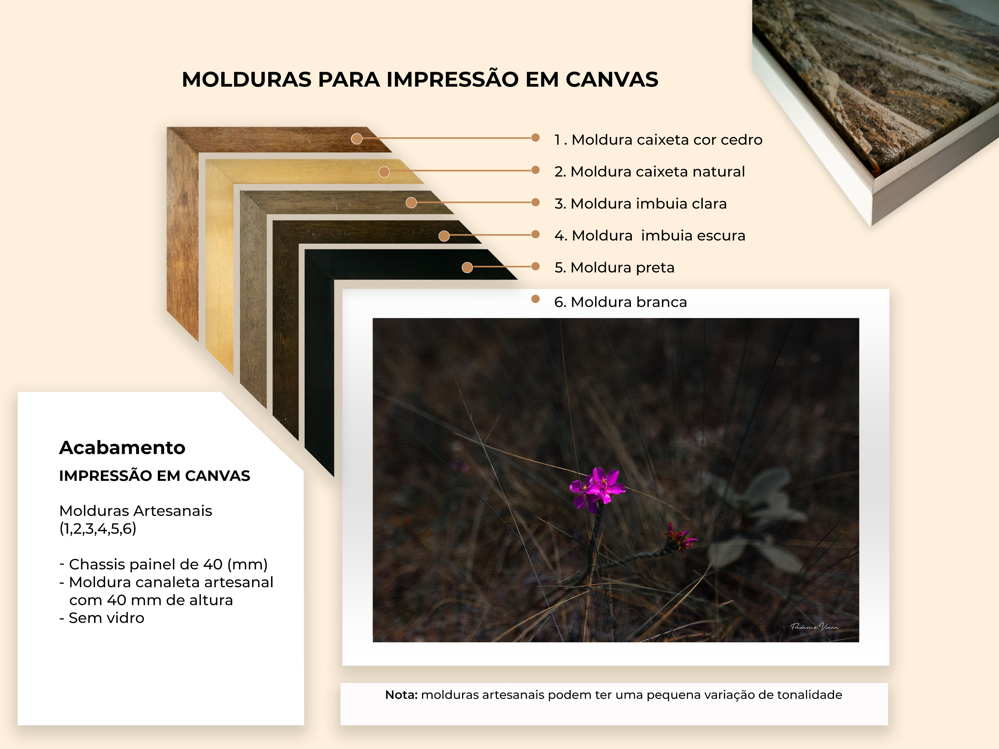 Quadro de fotografia - Flor quaresmeira do cerrado